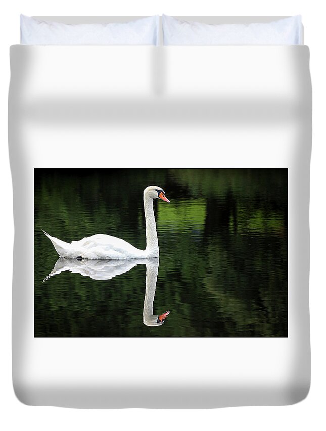 Petoskey Duvet Cover featuring the photograph Swan at Spring Lake by Robert Carter