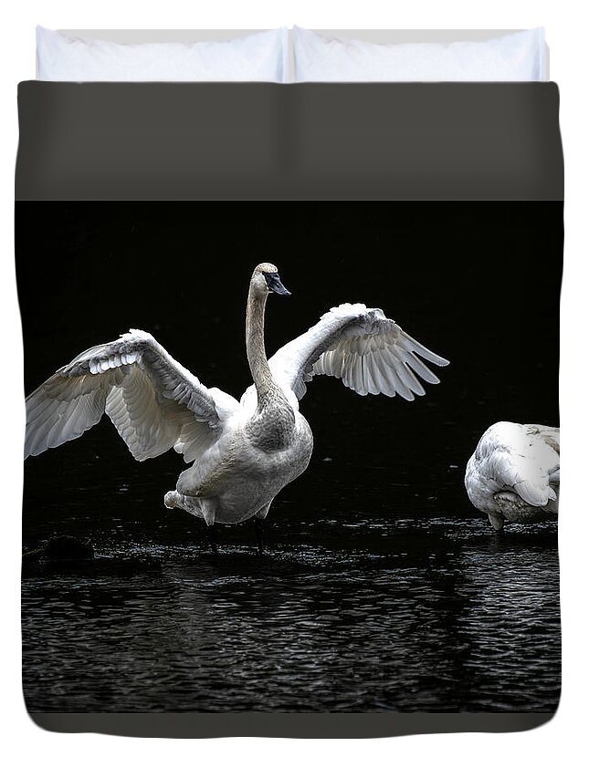 Swans Duvet Cover featuring the photograph Swans on the Lake by Jerry Cahill