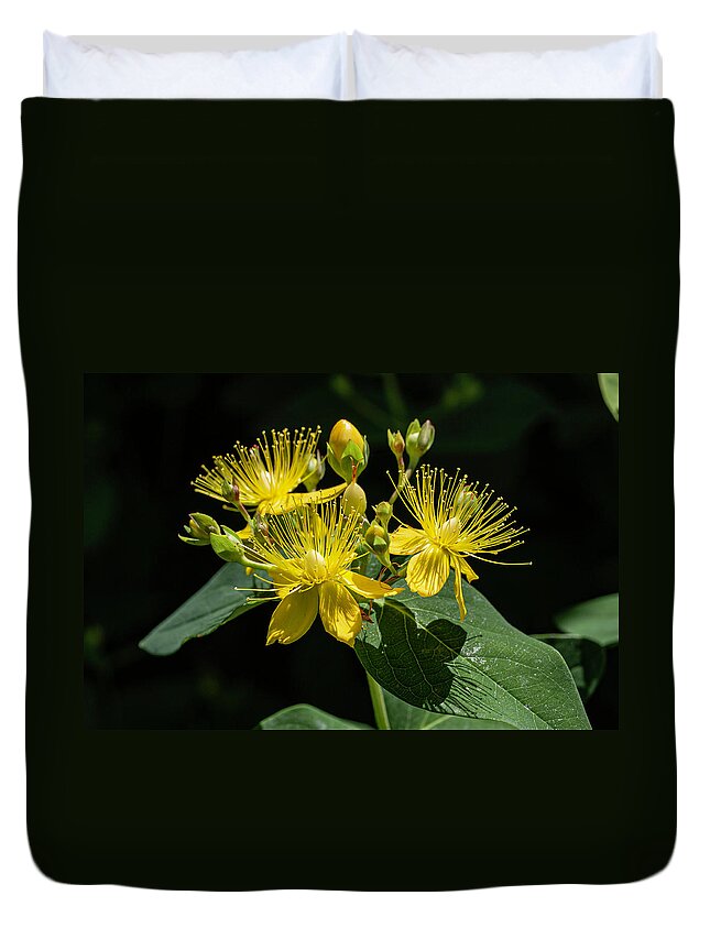 Sweet Duvet Cover featuring the photograph Sweet Amber Wildflower by John Haldane