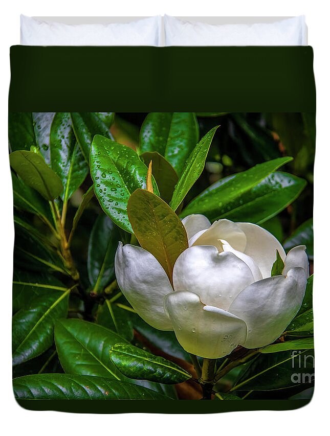 Blossom Duvet Cover featuring the photograph Sweet Magnolia by Shelia Hunt