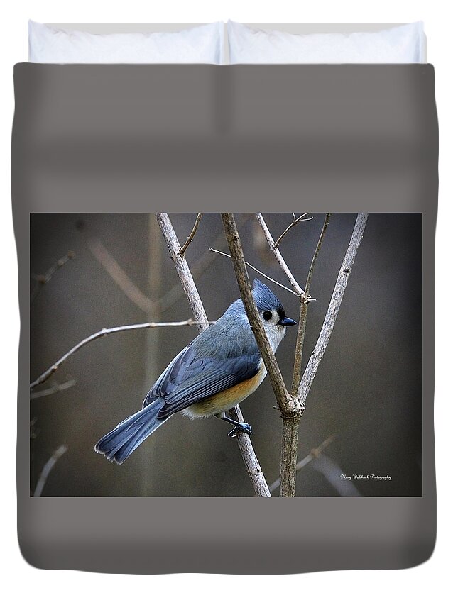 Tufted Titmouse Duvet Cover featuring the photograph Sweet Tufted Titmouse by Mary Walchuck