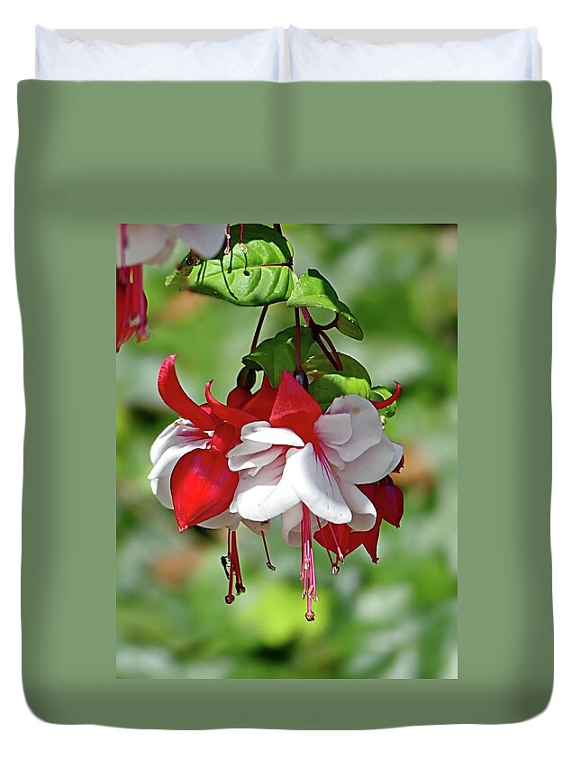 Swingtime Fuchsia Duvet Cover featuring the photograph Swingtime Fuchsia Plants by Lyuba Filatova