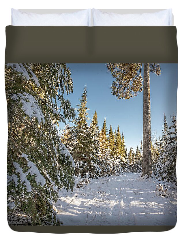#winter #landscape #photograph #fine Art #door County #wisconsin #midwest #wall Décor #wall Art #hiking #walking #long Exposure #focus Stacking #hdr Photography #adventure #outside #environment #outdoor Lover #snow #ice #cold #snowshoeing # Cross Country Skiing   Duvet Cover featuring the photograph Tall Trail by David Heilman
