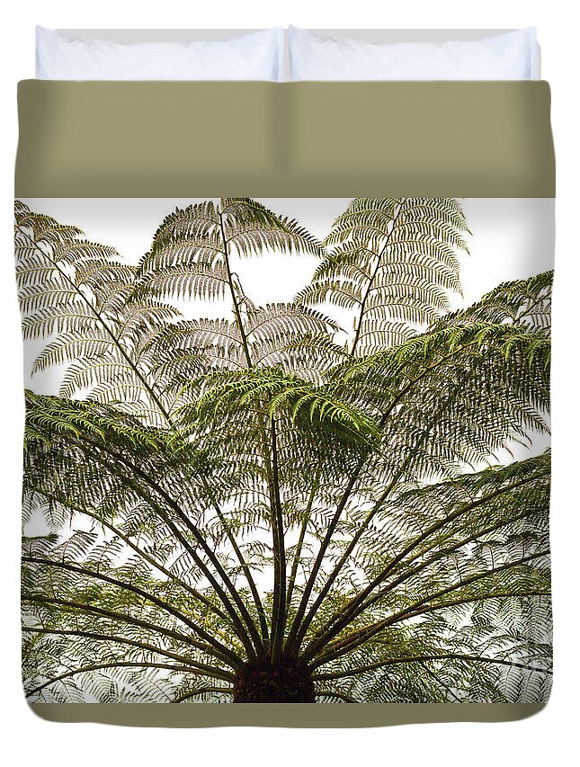 Tasmania Duvet Cover featuring the photograph Tasmanian Tree Fern Canopy by Elaine Teague