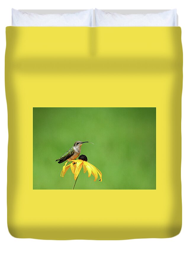 Archilochus Colubris Duvet Cover featuring the photograph Tasting the Rain by Robert Carter