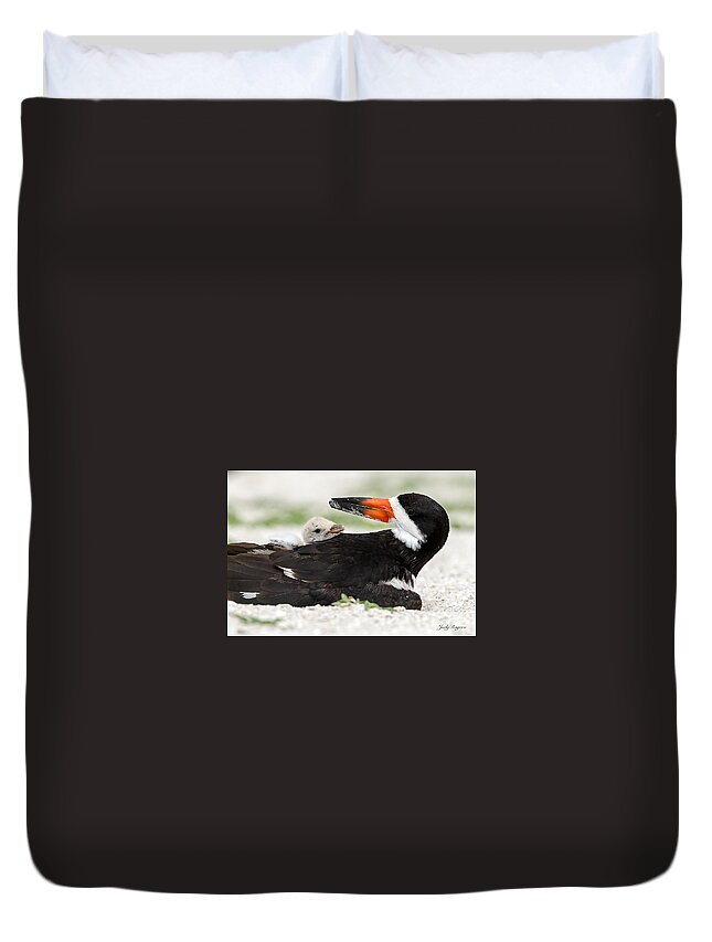 American Black Skimmer Duvet Cover featuring the photograph Tender Moments by Judy Rogero
