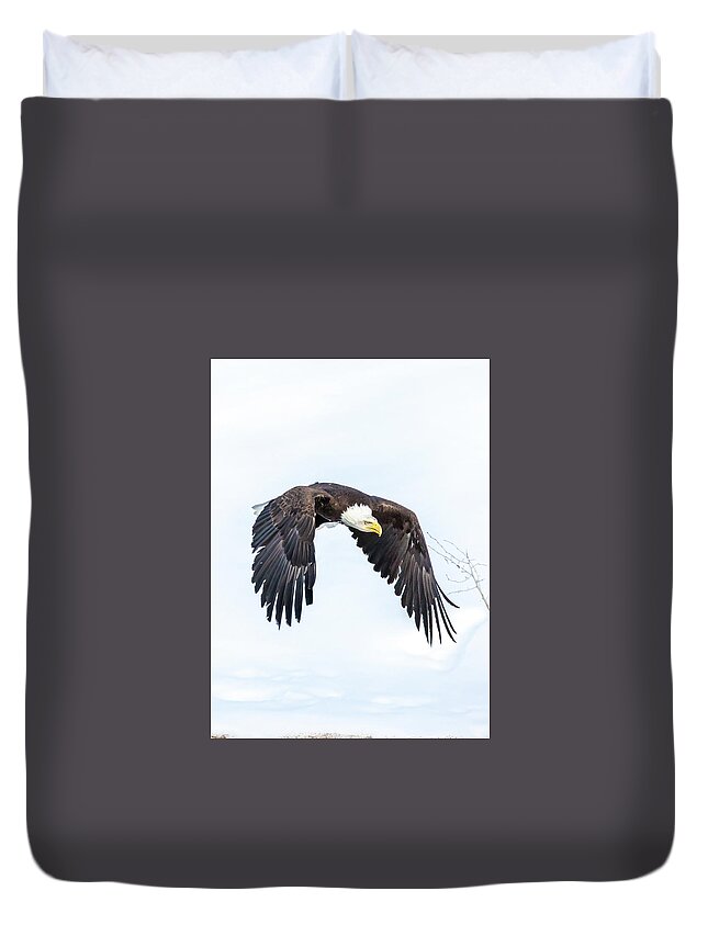 Eagle Duvet Cover featuring the photograph Test 2 by Kevin Dietrich