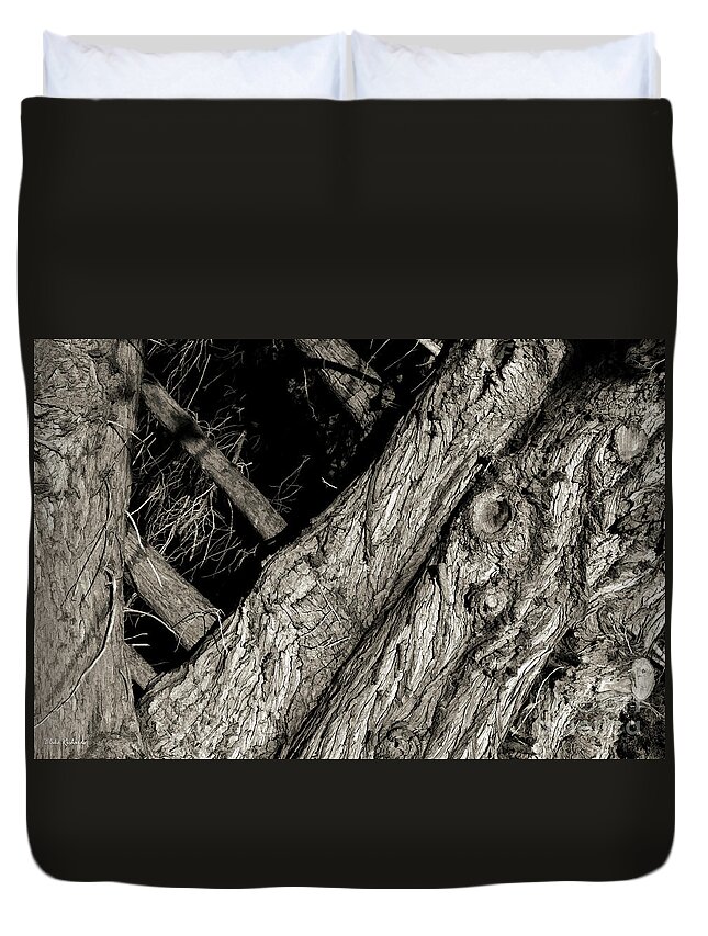  Duvet Cover featuring the photograph Texture In All Directions by Blake Richards
