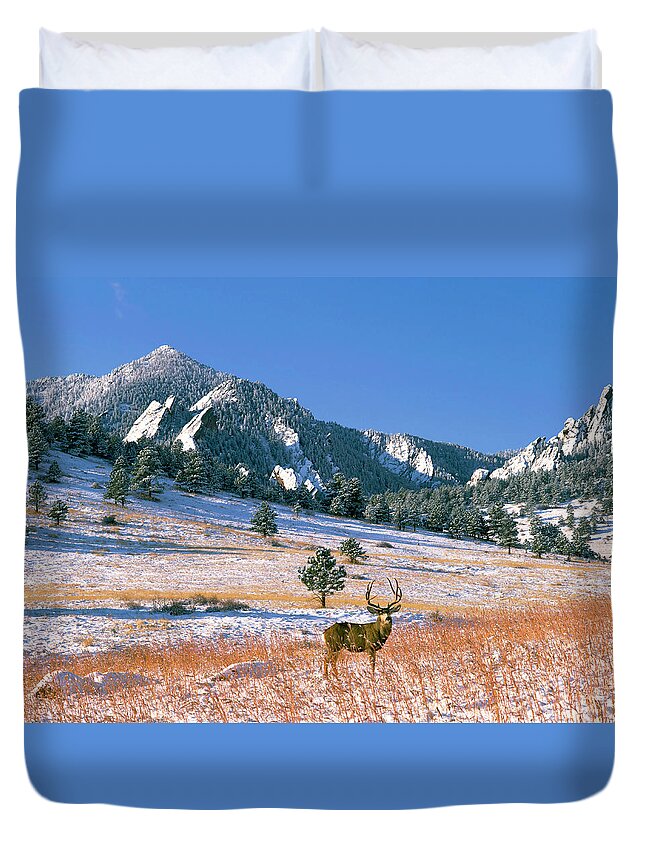 Color Image Duvet Cover featuring the photograph Thanksgiving Buck by Mark Miller