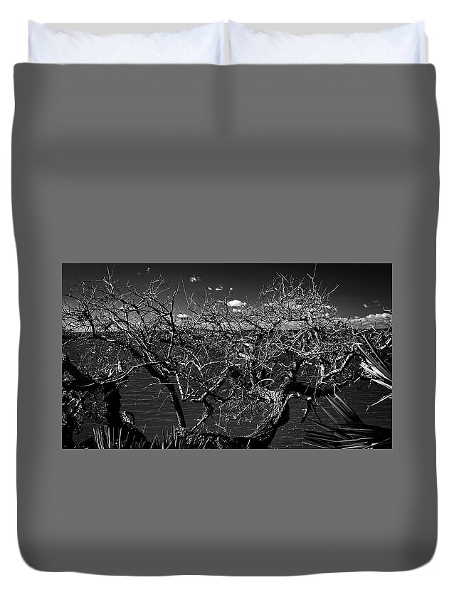 Tree Duvet Cover featuring the photograph The Bare Tree by George Taylor