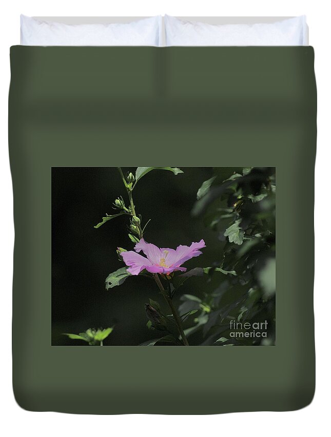 Rose Duvet Cover featuring the photograph The Beauty of a Rose by Margie Avellino