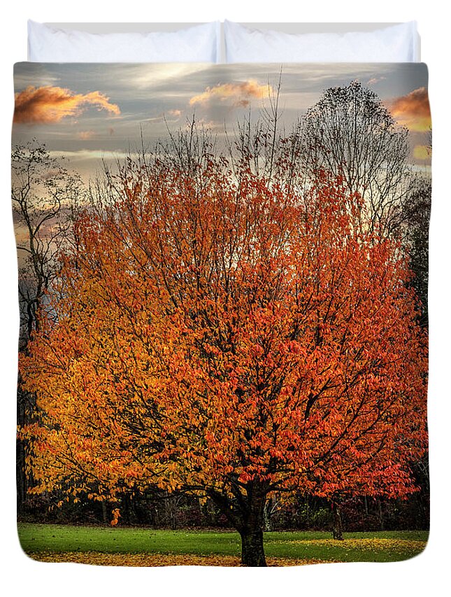 Andrews Duvet Cover featuring the photograph The Beauty of Maple Trees by Debra and Dave Vanderlaan