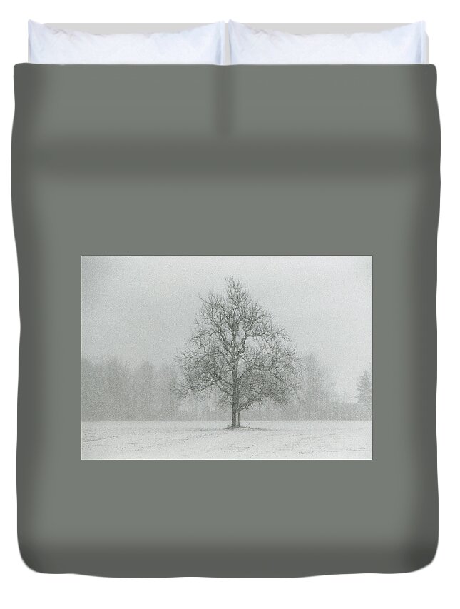 Snow Duvet Cover featuring the photograph The Beauty of Solitude 2 by Carrie Ann Grippo-Pike