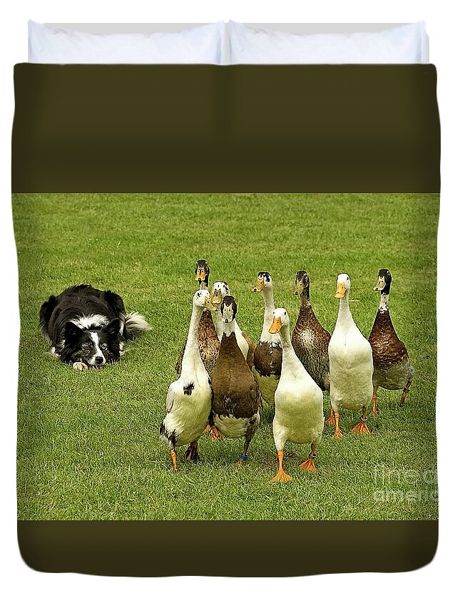 Geese Guarding Guard Gees-dog Smile Humor Funny Pastoral Leader Lead Country Village Field Grass Green Farm Farming Animals Sheepdog Herd Flock Nine Together Cheer Up Cheerful Day Summer Optimistic Lifting Up Grazing Crossing Walking Duvet Cover featuring the photograph The Best Gees Guard by Tatiana Bogracheva