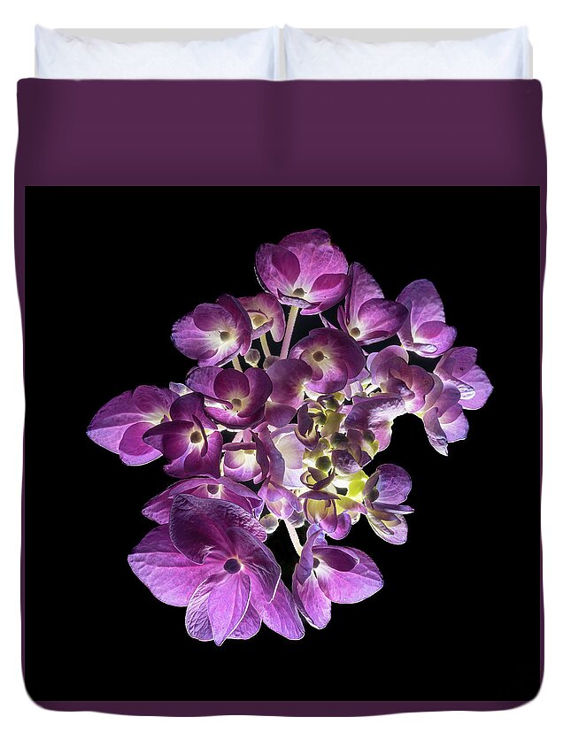 Bigleaf Hydrangea Duvet Cover featuring the photograph Finale in Purple by Kevin Suttlehan