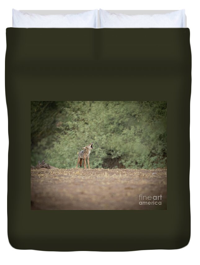 Wildlife Duvet Cover featuring the photograph The Call by Shannon Hastings