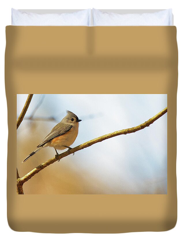 Tufted Titmouse Duvet Cover featuring the photograph The Cute Tufted Titmouse by Scott Burd