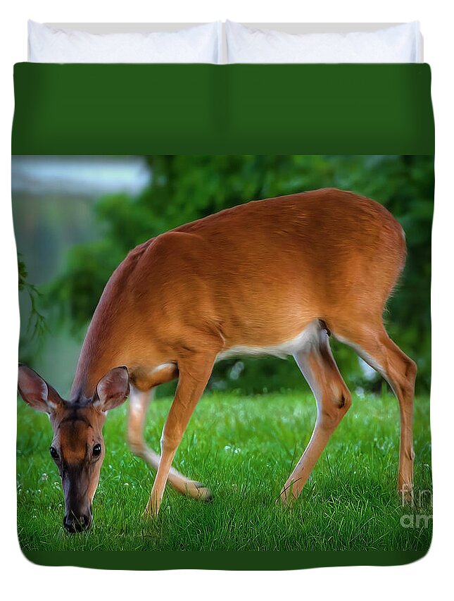 Deer Duvet Cover featuring the photograph The Deer by Shelia Hunt