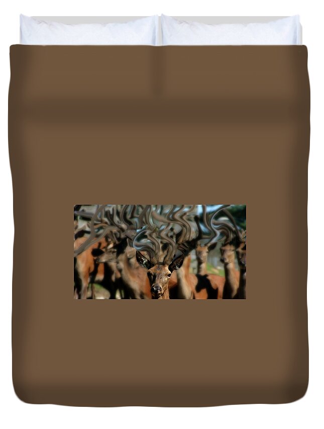 Red Duvet Cover featuring the photograph The Dreams of Deer #2 by Wayne King