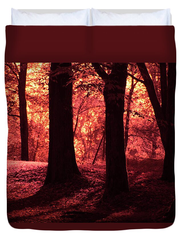 Forest Duvet Cover featuring the photograph The enchanted forest at sunset by Maria Dimitrova
