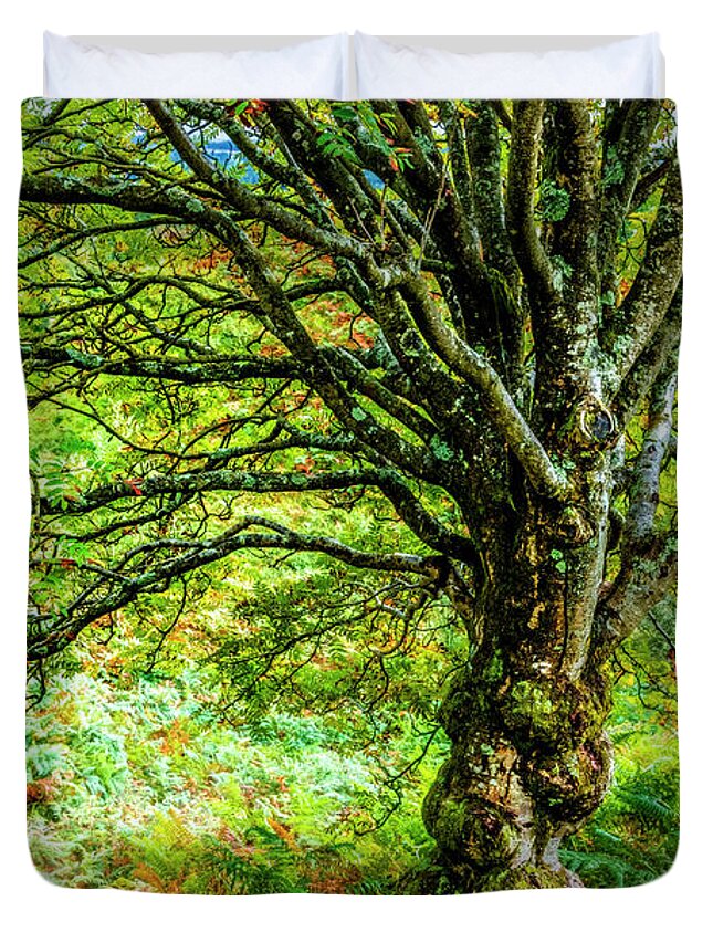 Fall Duvet Cover featuring the photograph The Enchanted Tree by Debra and Dave Vanderlaan