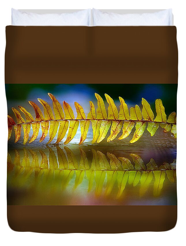 Boston Fern Duvet Cover featuring the photograph The Fall Of Boston by Rene Crystal