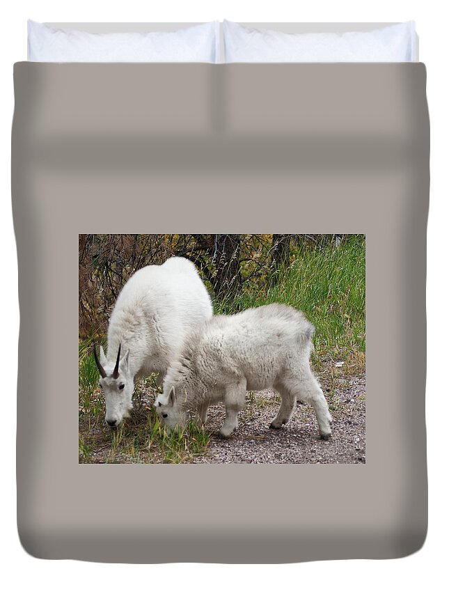 Mt. Goat Duvet Cover featuring the photograph The Family by Jerry Cahill
