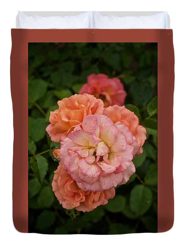 Roses Duvet Cover featuring the photograph The Five Roses Greeting Card by Richard Cummings
