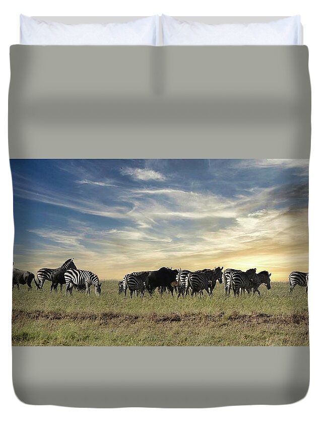 Zebra Duvet Cover featuring the photograph The Great Migration by Carolyn Mickulas