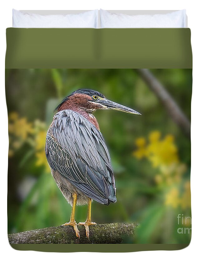 Birds Duvet Cover featuring the painting The Green Heron and Orchids by Judy Kay