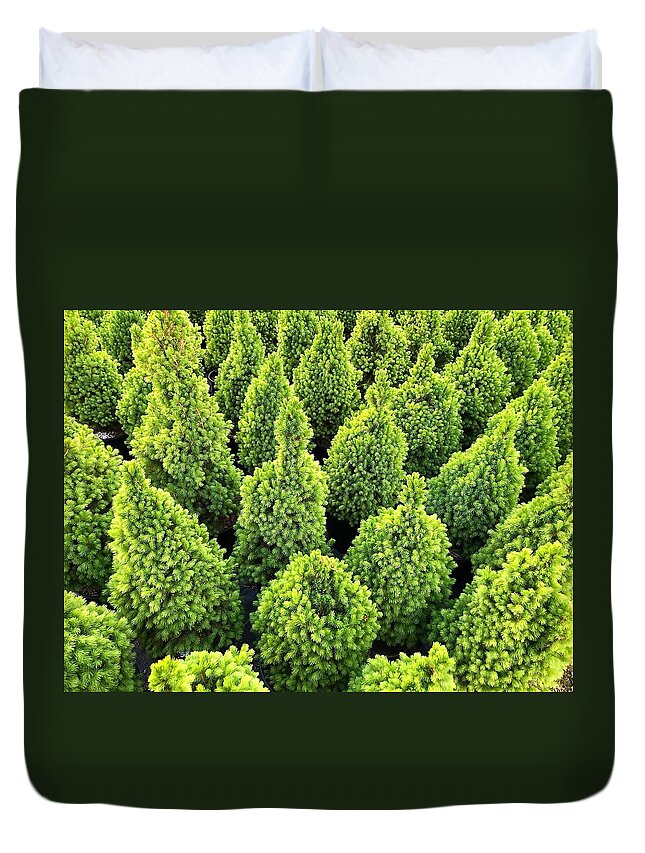 Green Duvet Cover featuring the photograph The Green by Jim Whitley