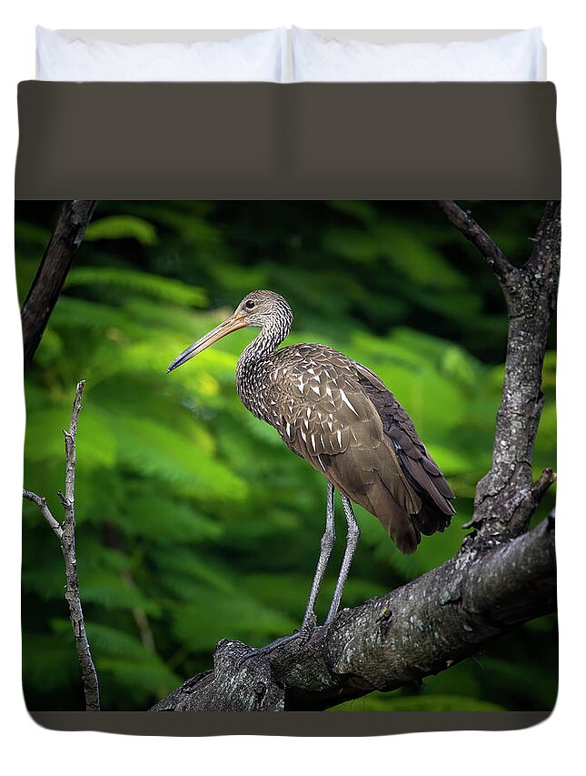 Limpkin Duvet Cover featuring the photograph The Limpkin in the Tree by Mark Andrew Thomas