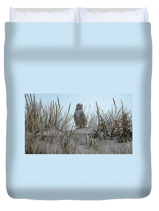 Snowy Owl Duvet Cover featuring the photograph The Look Out by Cathy Kovarik