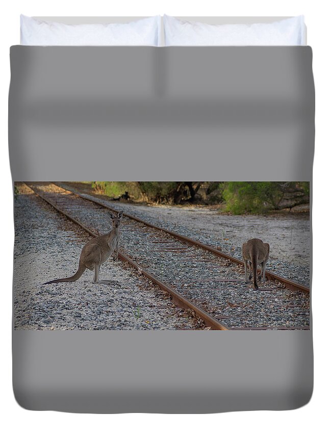 Landscape Duvet Cover featuring the photograph The Lookout by Tania Read