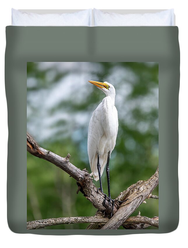 Egret Duvet Cover featuring the photograph The Magestic Egret by Regina Muscarella