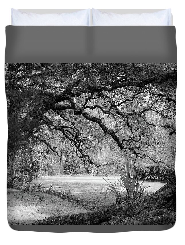 Beauty Duvet Cover featuring the photograph The Mighty Oaks 2 bw by Dimitry Papkov