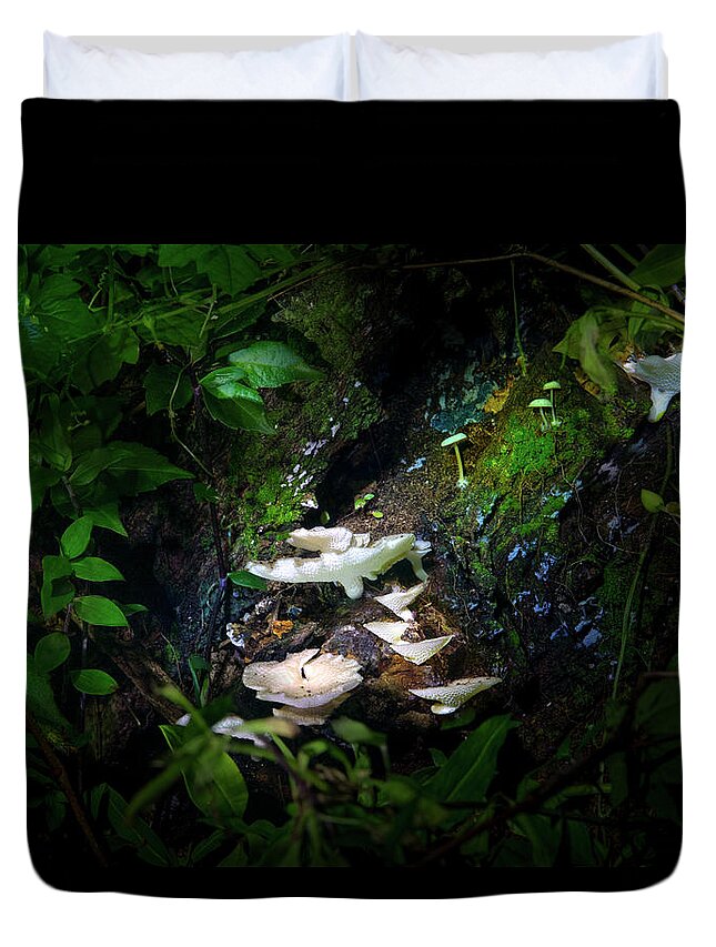 Mushrooms Duvet Cover featuring the photograph The Mushroom Grotto by Mark Andrew Thomas