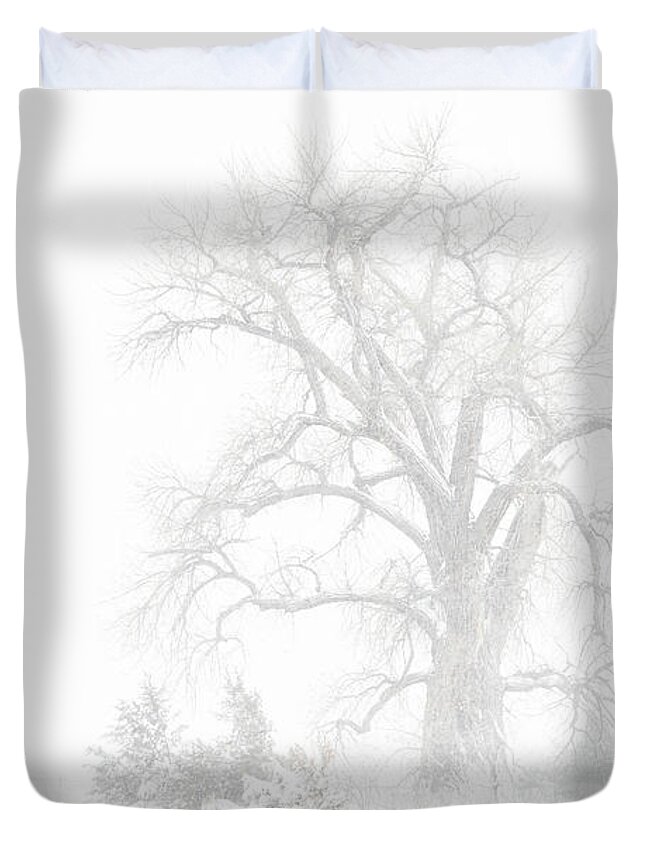 Tree Duvet Cover featuring the photograph The Old Man by Darren White