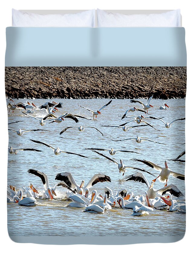 American White Pelicans Duvet Cover featuring the photograph The Pelicans Found the Fish by Debra Martz