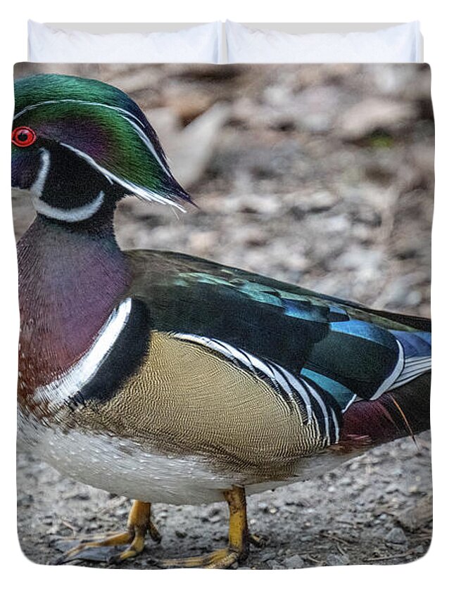 Woodduck Duvet Cover featuring the photograph The Prince by Jerry Cahill