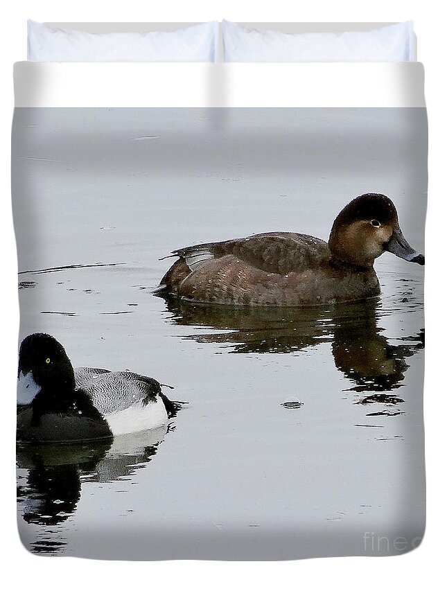 Wildlife Duvet Cover featuring the photograph The Red and the Black by Christopher Plummer