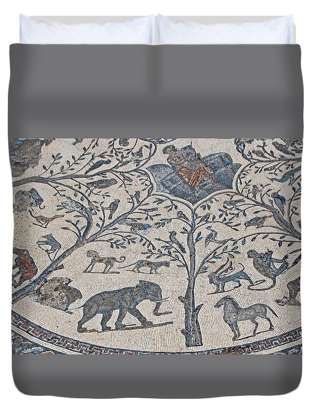 Roman Mosaics Duvet Cover featuring the photograph The Roman Zoo by Edward Shmunes
