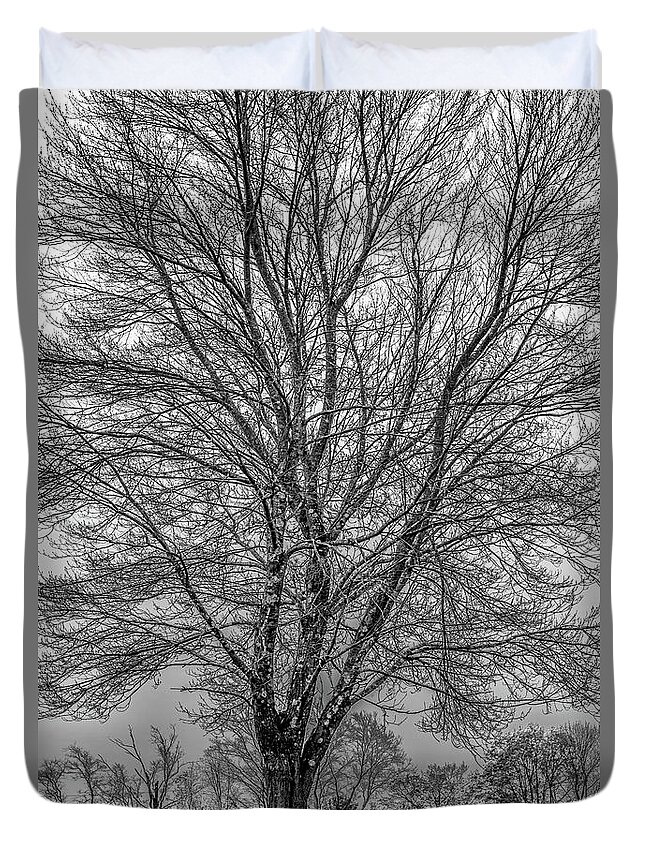 Tree Duvet Cover featuring the photograph The Shape of a Tree by David Lee