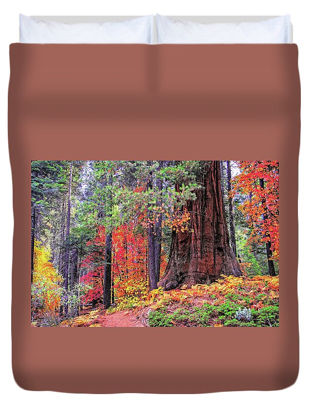 Sierra Duvet Cover featuring the photograph The Small and the Mighty by Lynn Bauer