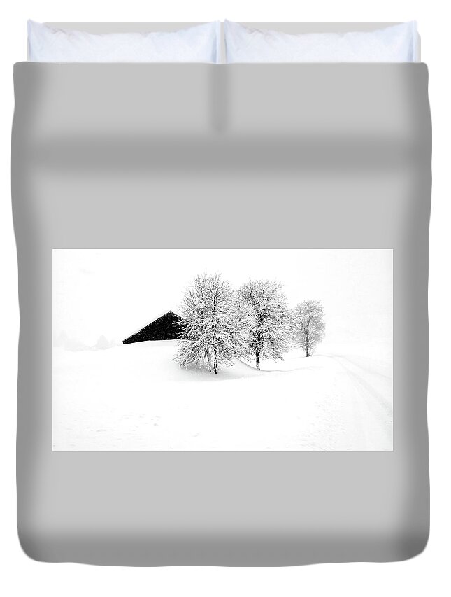 Winter Landscape Duvet Cover featuring the photograph The snowy Avenue by Imi Koetz