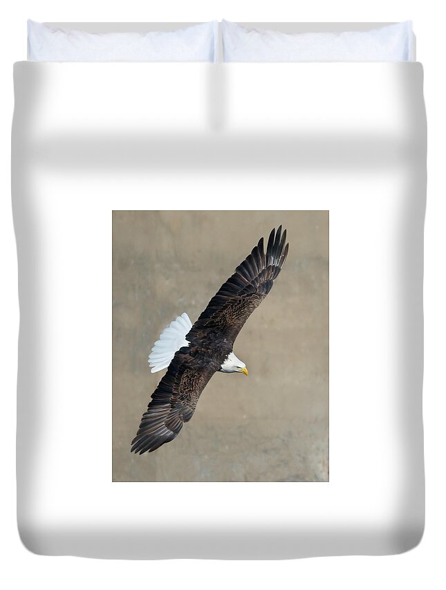 Eagles Duvet Cover featuring the photograph The Soar by Ray Silva