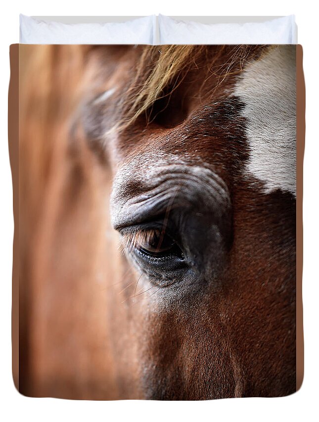 Rosemary Farm Duvet Cover featuring the photograph The Soul of an Old Horse by Carien Schippers
