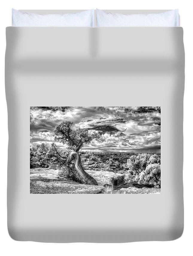 Nationalparks; Utah; Black And White; Tree; Wisdom; Ancient; Native American; Department Of Interior Duvet Cover featuring the photograph The Spirit Tree - Canyonlands National Park - Utah by William Rainey
