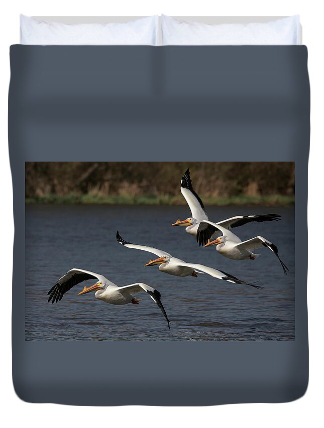 Lake Bloomington Duvet Cover featuring the photograph The Squadron by Ray Silva