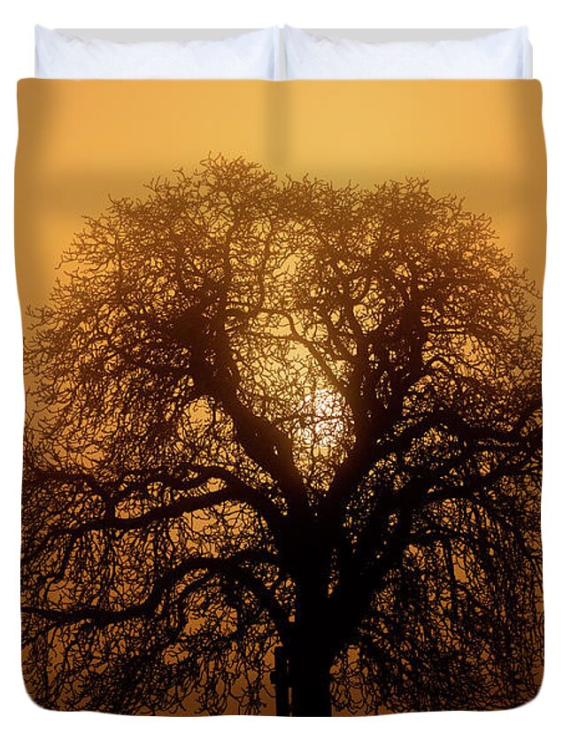 Sky Duvet Cover featuring the photograph The Sun Rising Behind a Tree by Martin Vorel Minimalist Photography